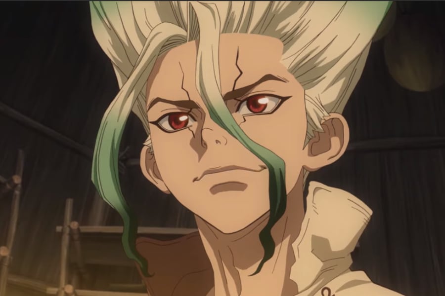 Dr Stone