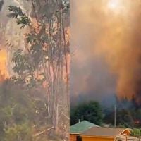 Declaran alerta roja en Purén por incendio forestal que amenaza a viviendas del sector