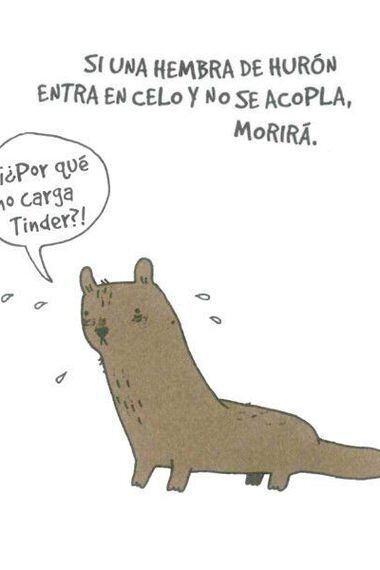 libro-animales