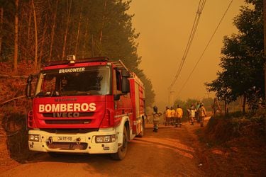 Alcaldesa de Santa Juana dice que pidió el estado de catástrofe todo el mes por incendios: “La ministra Tohá debió haberlo decretado antes”