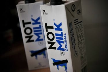 NotCo apelará a fallo que prohíbe uso de marca NotMilk y destaca que producto seguirá en puntos de venta