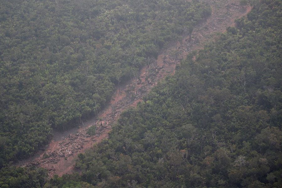 Incendio en el Amazonas