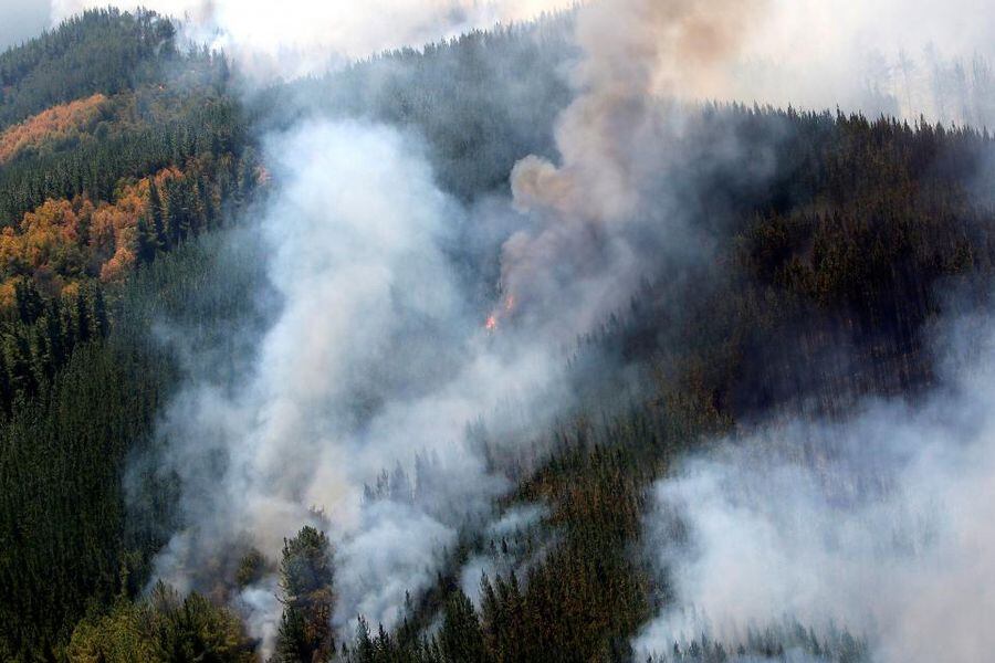 Smoke from forest fires is seen in a town called Cauquenes in the Maule region, south of Chile