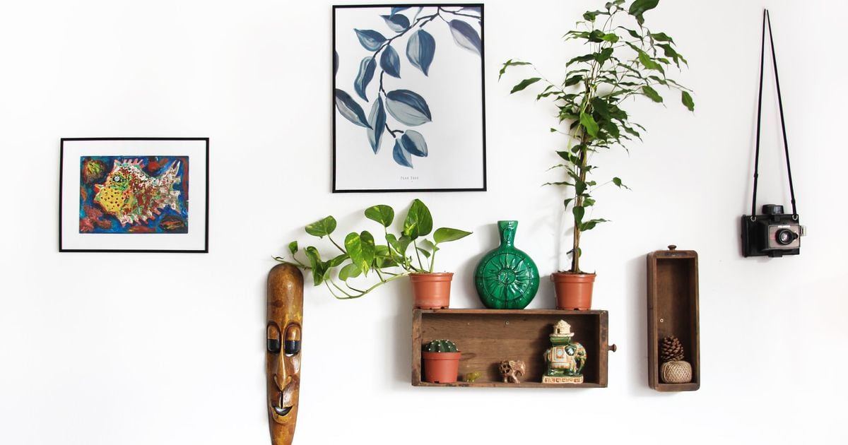 Eleva tu hogar con nuestros productos favoritos para decorar