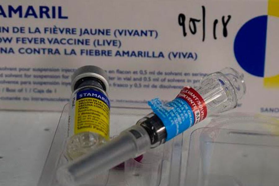 quien tiene que vacunarse contra la fiebre amarilla quien tiene que vacunarse contra la fiebre amarilla