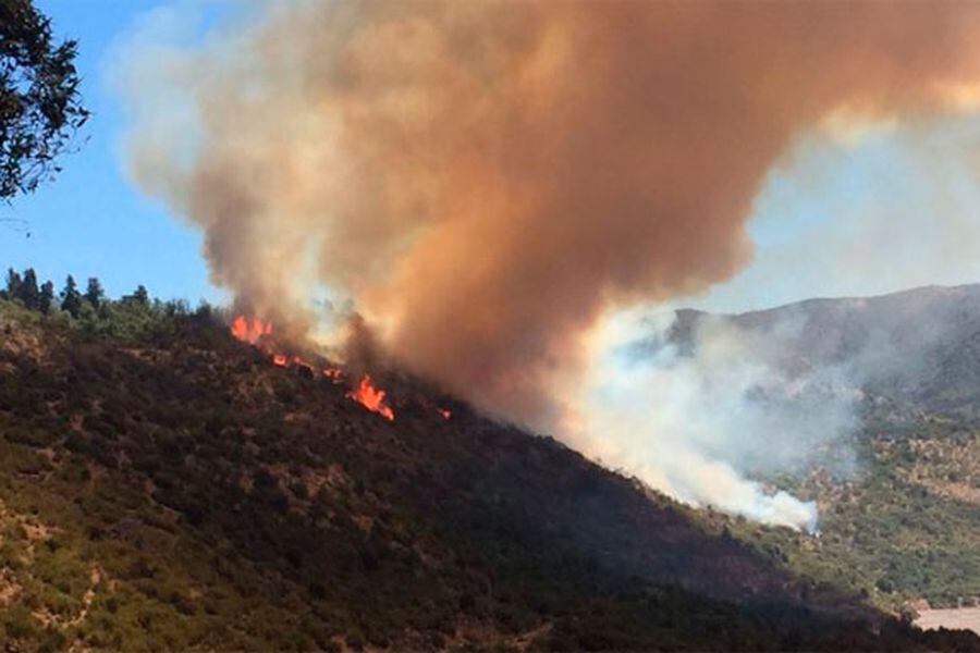 incendio forestal en machalí