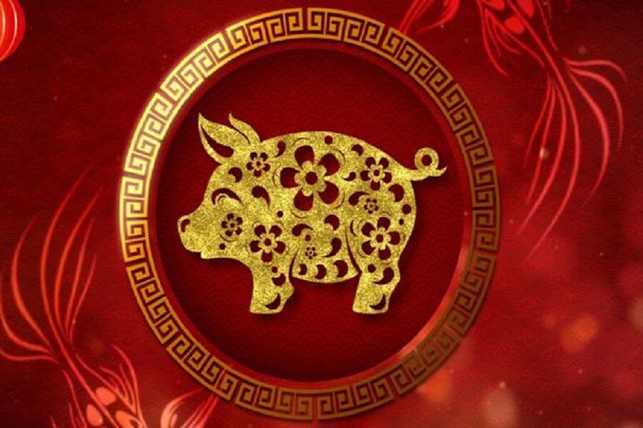 Año nuevo chino, el cerdo