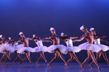 Comentario de danza: genial reinvención del Lago de los cisnes