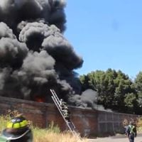 Incendio en taller de buses en Temuco deja 8 máquinas destruidas