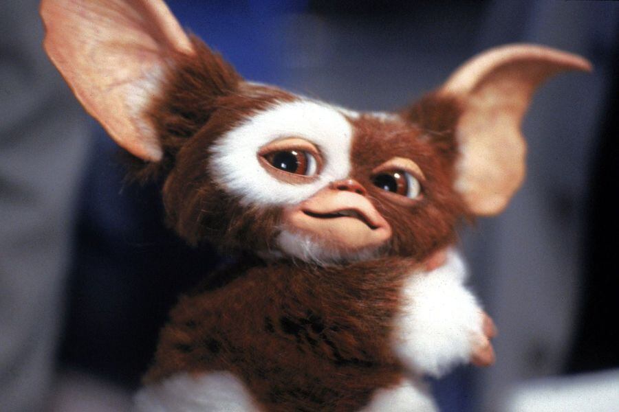 gizmo