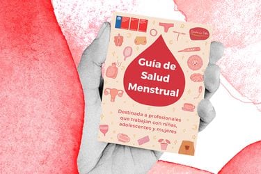 Primera Guía Ministerial en Salud Menstrual: “Educar sobre menstruación, es avanzar en la igualdad entre hombres y mujeres”