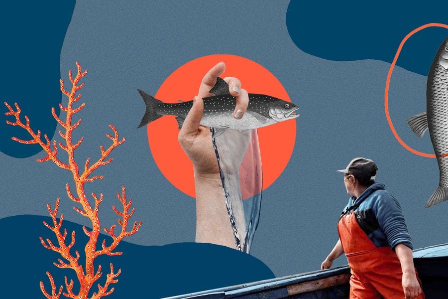 Las mujeres que entran al mundo de la pesca - La Tercera