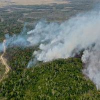 Sensor satelital muestra la magnitud del incendio forestal en Timaukel