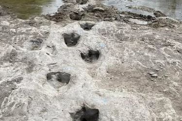 La sequía en Texas deja al descubierto huellas de dinosaurio de 113 millones de años