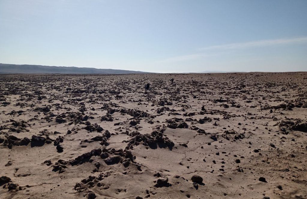 El aparente vacío del desierto. FOTO: Red de Observadores de Aves y Vida Silvestre (ROC)