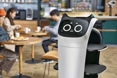 El “Michi-robot” que revoluciona a un restaurante de Viña del Mar