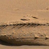 “La estructura más extraña jamás vista en Marte”: Nasa detecta roca con forma de hueso en el planeta rojo