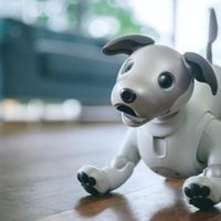 Sony revive a Aibo, el perrito robótico que quiere ser tu amigo