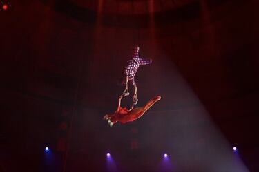 El instante en que una trapecista cayó al vacío y murió en medio de show circense