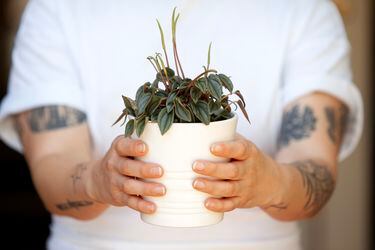 Nuestras lectoras preguntan:  “Me dijeron que las plantas pueden mejorar el bienestar pero no sé nada de plantas”