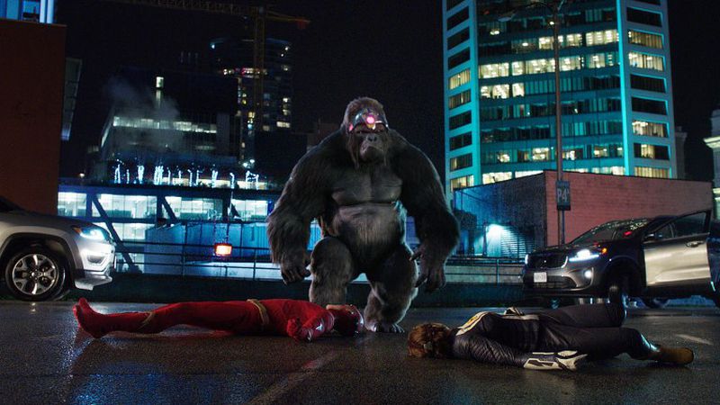 Flash King Shark Vs Gorilla Grodd The Flash anticipa "Gorilla Grodd vs King Shark" con nuevas fotos - La
