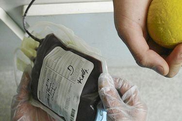 donación sangre