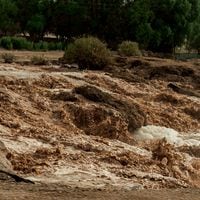 Alerta amarilla en cinco comunas de Atacama tras lluvias: Onemi reporta un fallecido y cinco desaparecidos