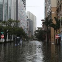 Trump declara a Florida "estado de catástrofe natural" y promete pronta visita