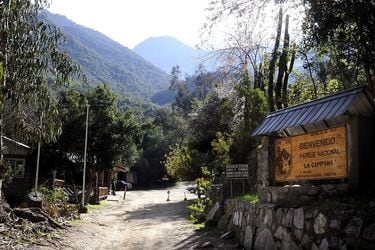 Parque Nacional La Campana (Foto: Agencia Uno)