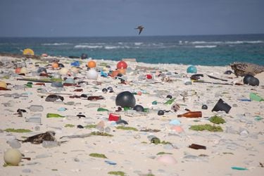 Economía circular de los plásticos: el salvavidas para los océanos
