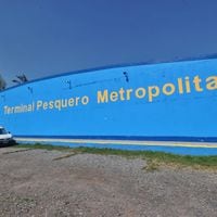 Sumarios sanitarios e infracciones: la trama que terminó la concesión del Terminal Pesquero tras 20 años