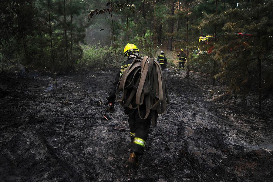 Incendios forestales