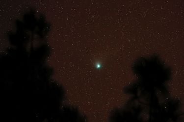 ¿Se podrá ver con el humo? El cometa verde llega a Chile tras 50 mil años