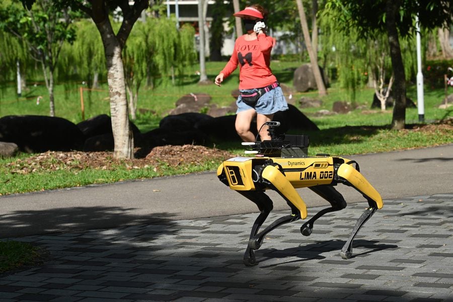 El perro robot que busca evitar la propagación del Covid-19 en ...