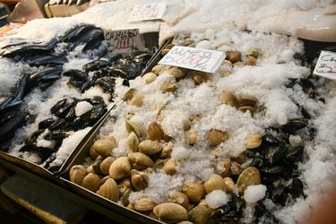 34 locales bajo sumario y casi 80 kilos de pescado decomisados: Seremi de Salud intensifica fiscalizaciones ad portas de Semana Semana 