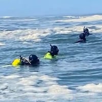 Continúa búsqueda de adolescente desaparecido en Playa Maule en Puerto Saavedra