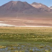 Científicos aprovecharon su paso por Congreso Futuro para investigar los secretos del desierto de Atacama
