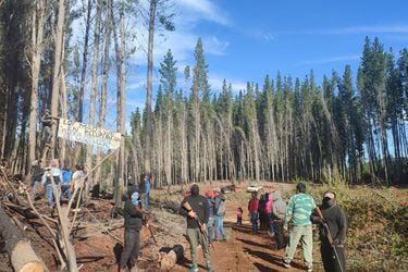 Multigremial de La Araucanía: de 162 causas judiciales por usurpación de tierras entre 2018 y 2021 solo un caso tiene sentencia