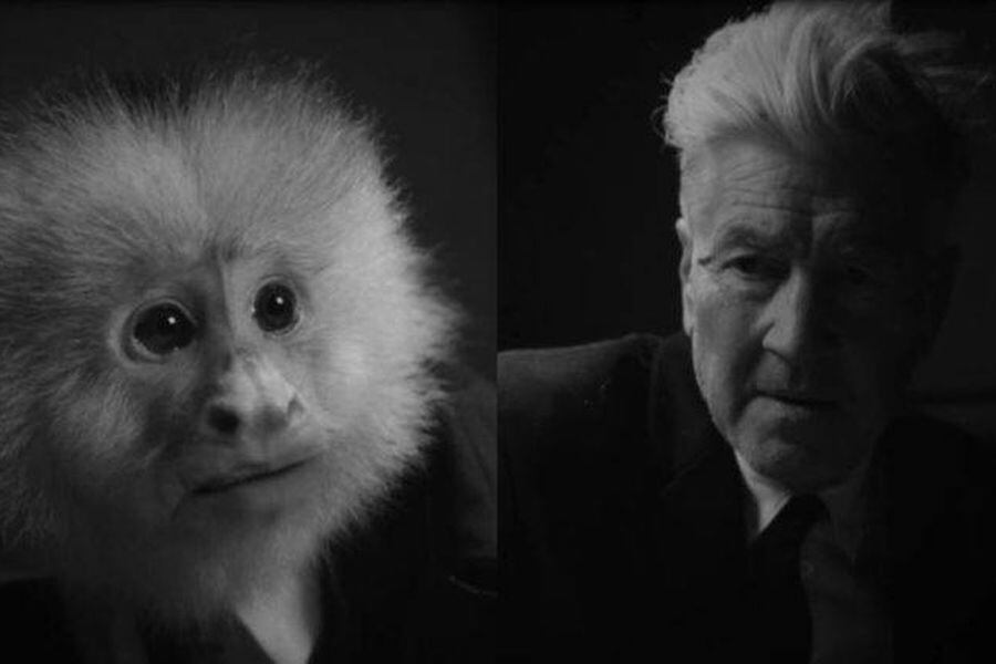 David-Lynch-What-Did-Jack-Do-755x425