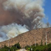 Columna de Christian Little: Incendios, Chile preparado