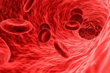 ¿Cuántos pacientes se benefician por cada donación de sangre?
