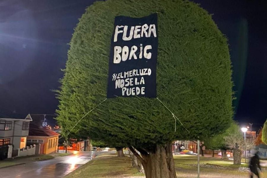 En medio de su gira por Magallanes: “Árbol de Boric” amanece intervenido  con críticas al Mandatario - La Tercera