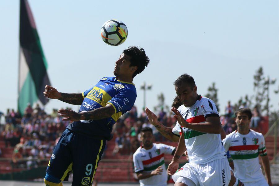 EVERTON PALESTINO