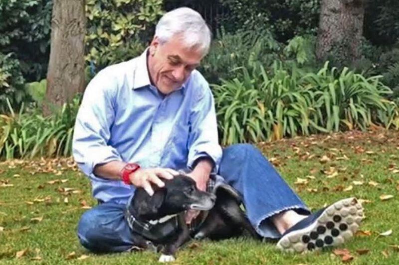 Fue muy querido por todos&quot;: Familia Piñera de luto por partida de Cholito, el perrito del Mandatario - La Tercera