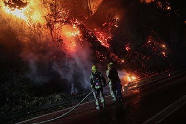 Declaran alerta roja para Zapallar y Papudo por incendio forestal que ya consume 120 hectáreas