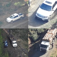 “El ISIS de Cayucupil”: las escuchas que develan el violento robo de madera en Arauco