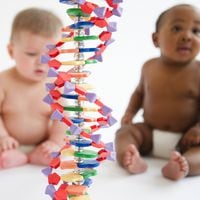 Súper humanos: La polémica y revolucionaria técnica de "reescribir el ADN”, que ganó el Nobel de Química 2020 