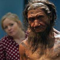 ¿Por qué hay personas madrugadoras? El ADN neandertal podría esconder la respuesta