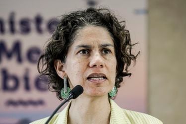 Maisa Rojas, ministra del Medio Ambiente por aprobación de Los Bronces Integrado: “No habrá un impacto significativo sobre la salud de las personas”