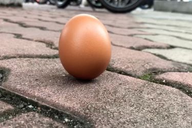 An egg is seen on the ground in Shah Alam, Kuala Lumpur